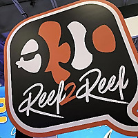 Reef2Reef & raquo؛ بحث Aquascape